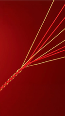 Your 2026 Guardian System: A Bracelet to Harmonize Annual Energy Shifts